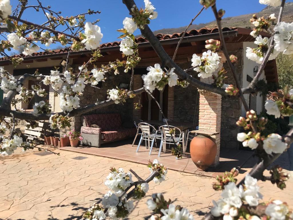 Hébergement de vacances La Picotina Navaconcejo