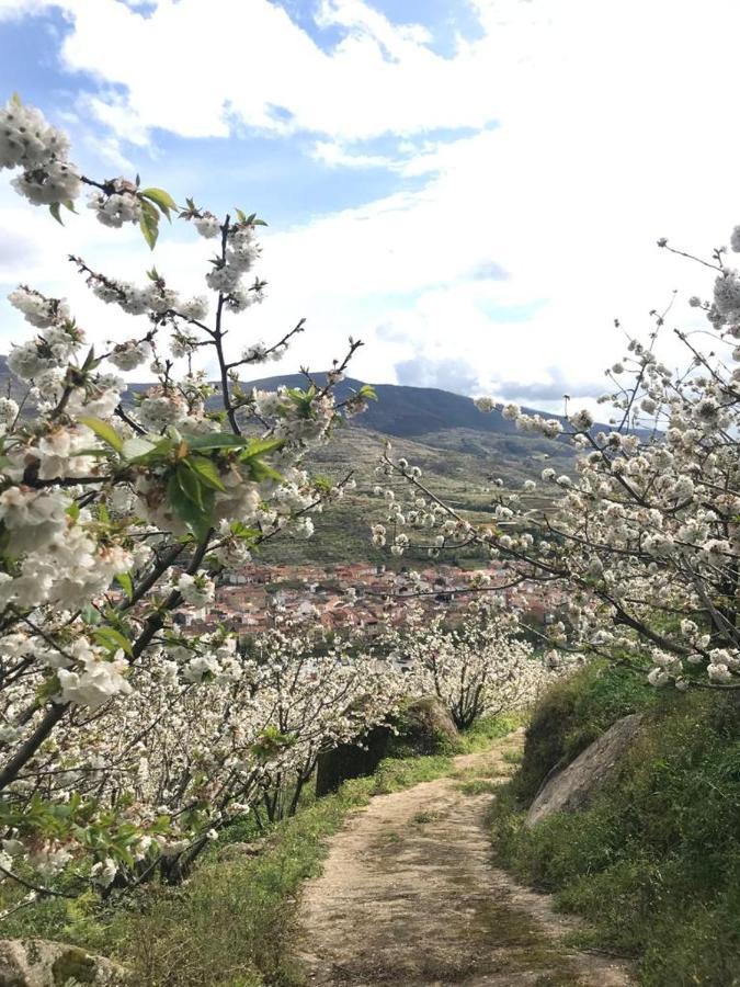 La Picotina Hébergement de vacances Navaconcejo