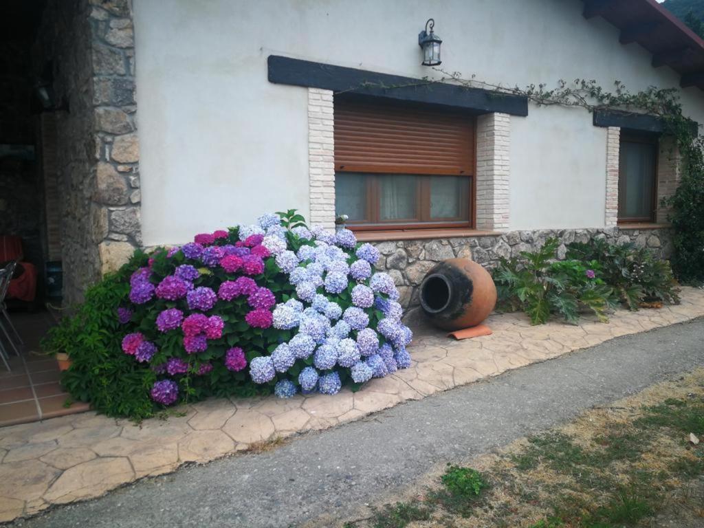 La Picotina Vakantiehuis