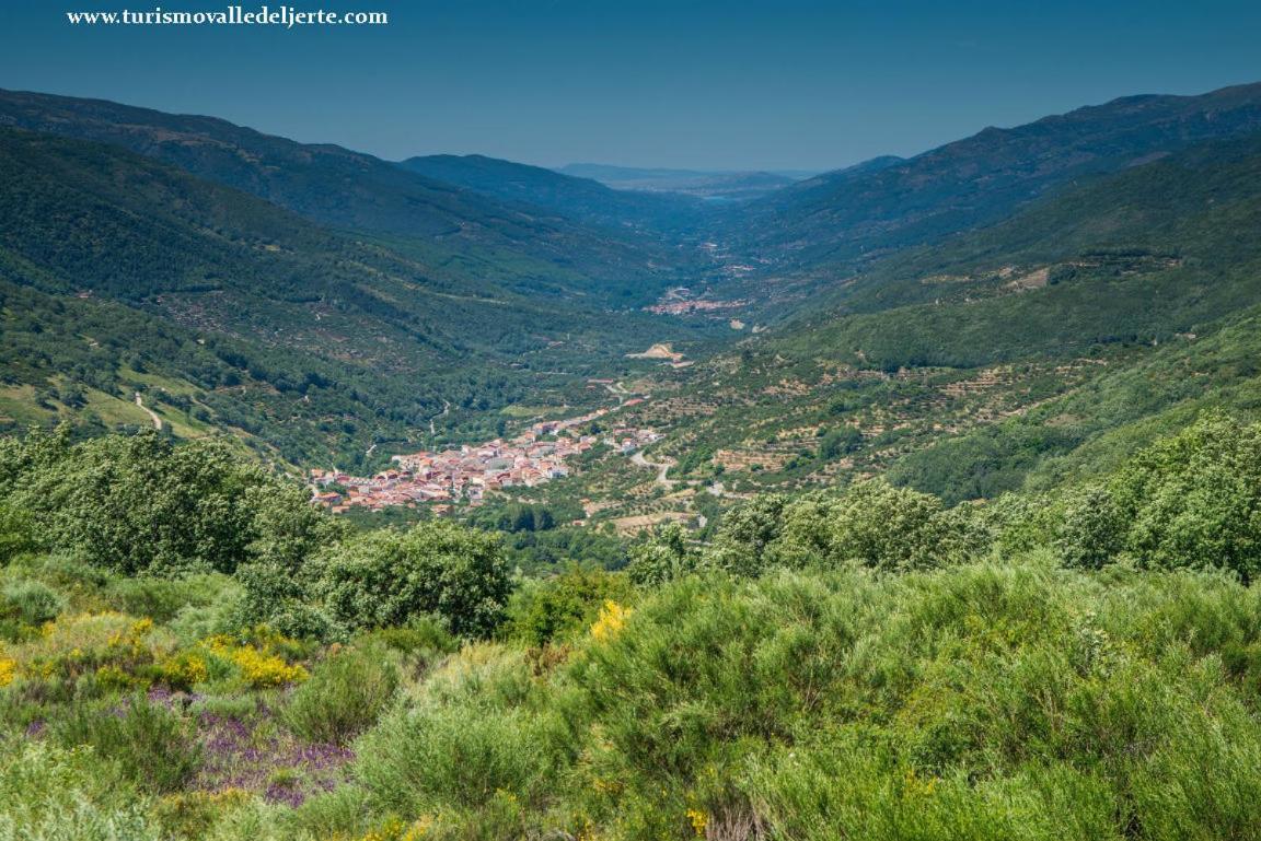 La Picotina Hébergement de vacances Navaconcejo